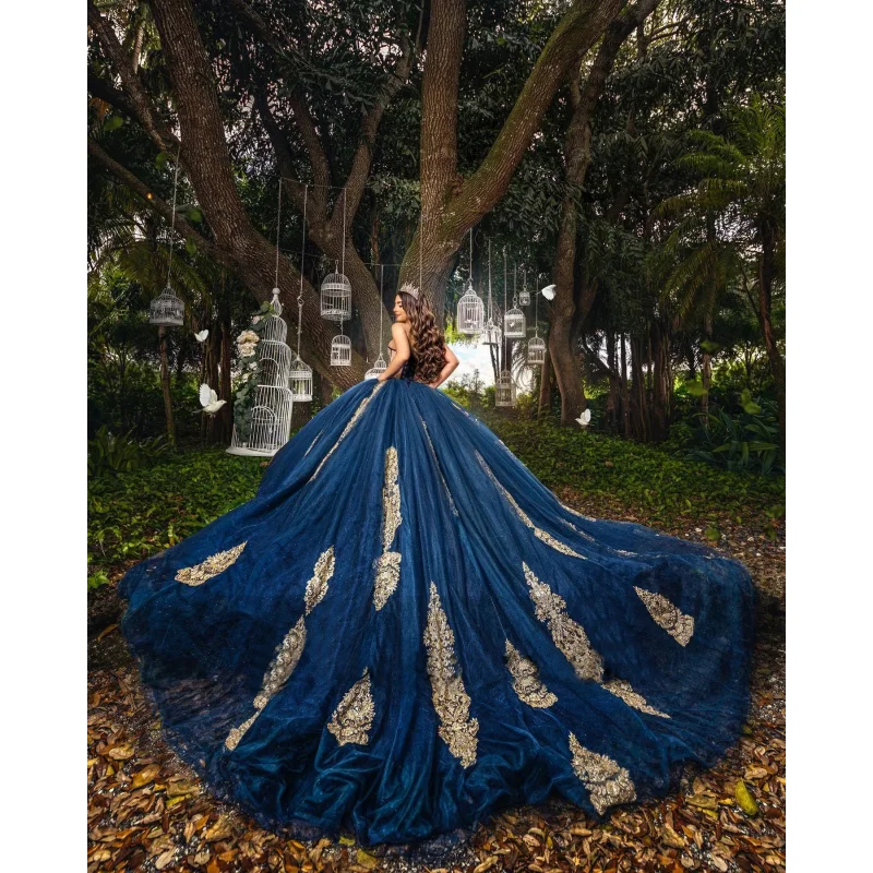 Robes de Quinceanera en forme de cœur, en Tulle, avec traîne cathédrale, à lacets, robe de bal de princesse bleue, personnalisée