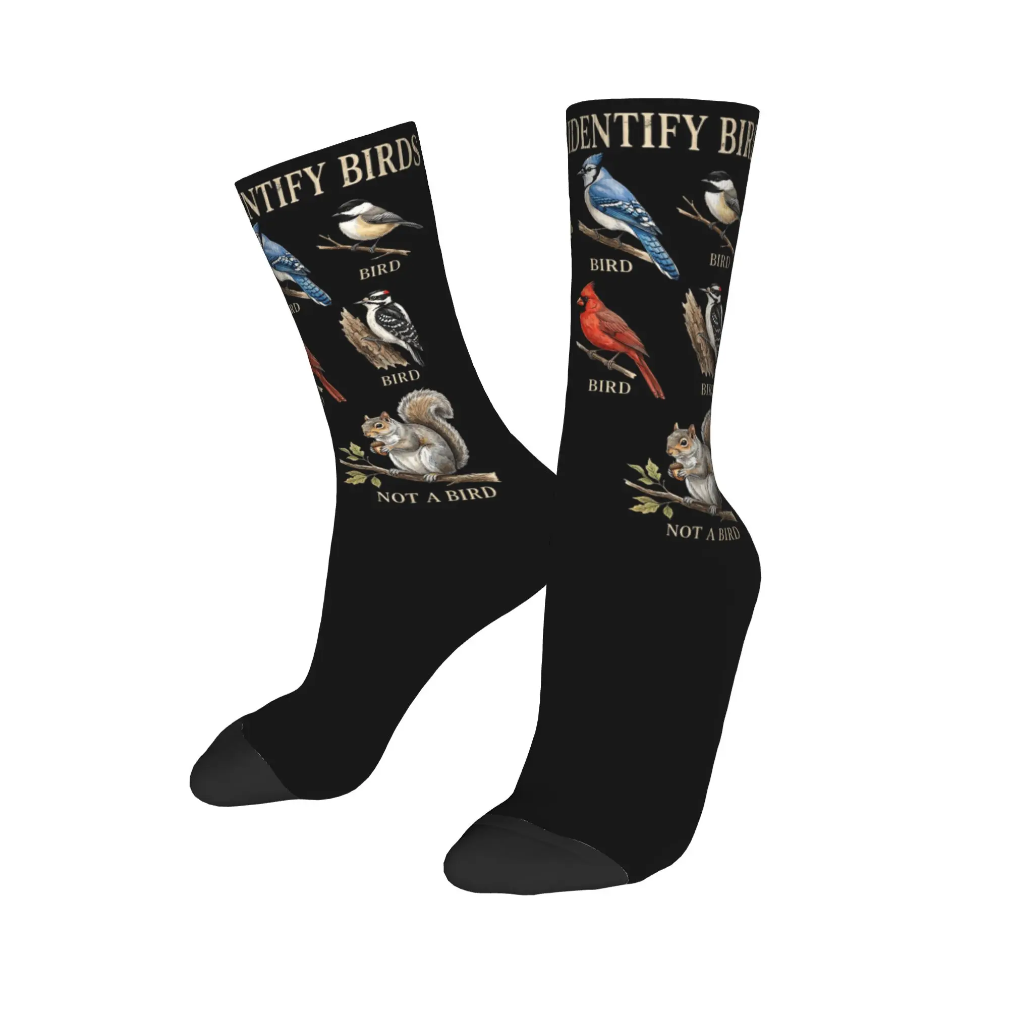 Fashion Male Men Socks Novelty Parrots Bird Guide Different Parrot Species of The World Pet Sock Polyester Quality Women Socks