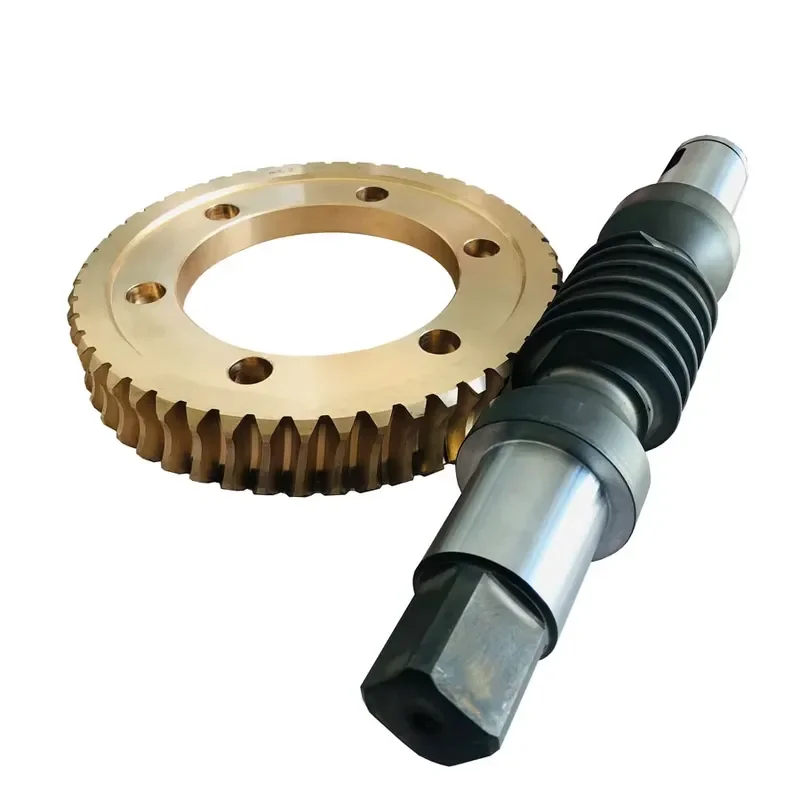 Custom Stainless Steel Worm Wheel Worm Shaft Set Industrial Gearbox Hobbed Heat Treated OEM Part New ISO9001 Certified DB