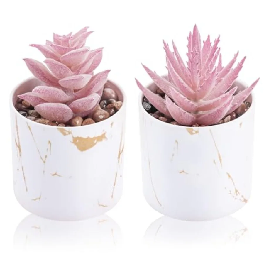 

Set of 2 Succulents Plants Artificial Mini Fake Succulents Plants for Office Desk Accessories for Women Pink Home Vanity Decor