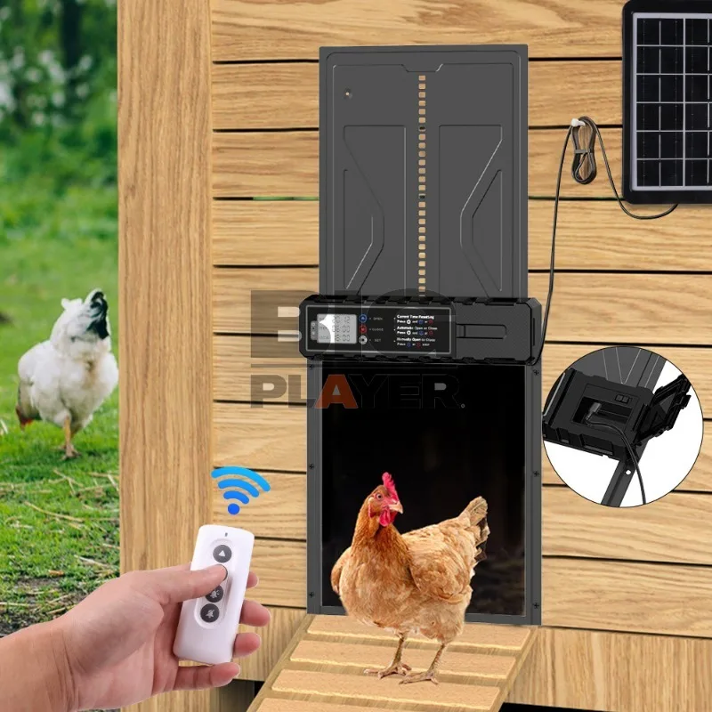 Timed Automatic Sensor Door for Chicken Coop, Aluminum Alloy with Display Screen, Solar-Powered Electric Chicken Coop Door