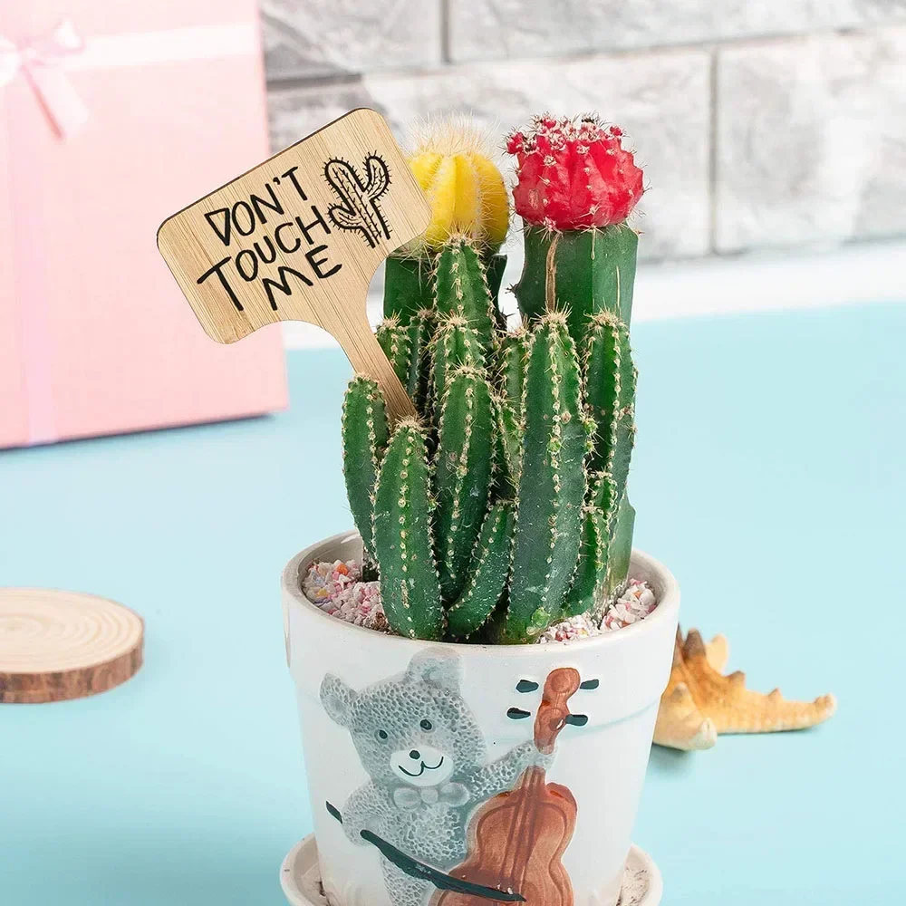 10 قطعة/المجموعة T-نوع نبات الخيزران تسميات خشبية صديقة للبيئة النبات تسجيل العلامات علامات الحديقة ل بذور بونساي بوعاء الأعشاب زهرة أداة