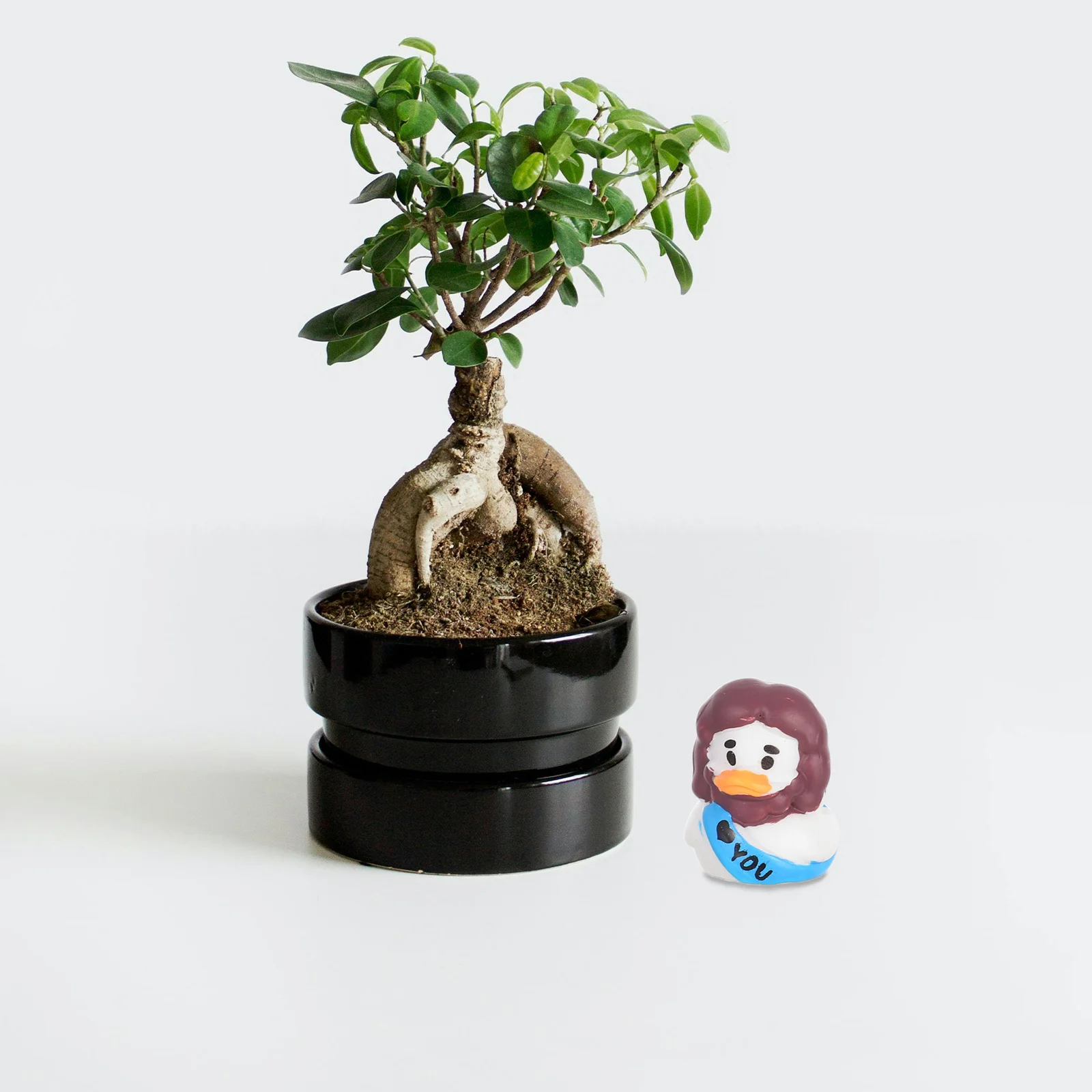 

15Pcs Jesus Mini Resin Ducks Cute Religious Duck Ornaments Shower Cake Decoration Fairy Garden DIY Crafts