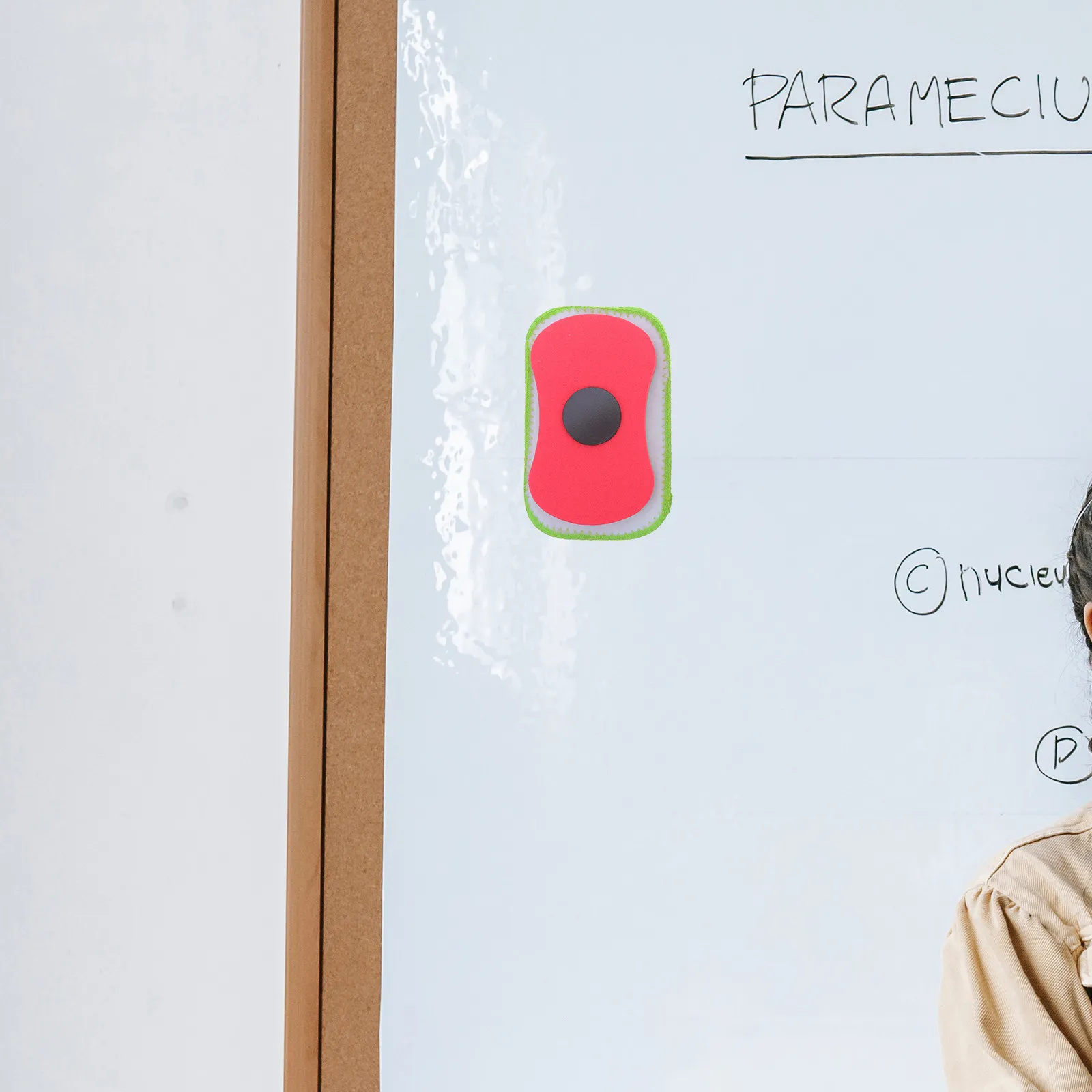 

Набор из 10 магнитных стиралок для белых досок: съемные, моющиеся, безворсовые, для сухого стирания, для классов и офисов, маленькие магнитные доски