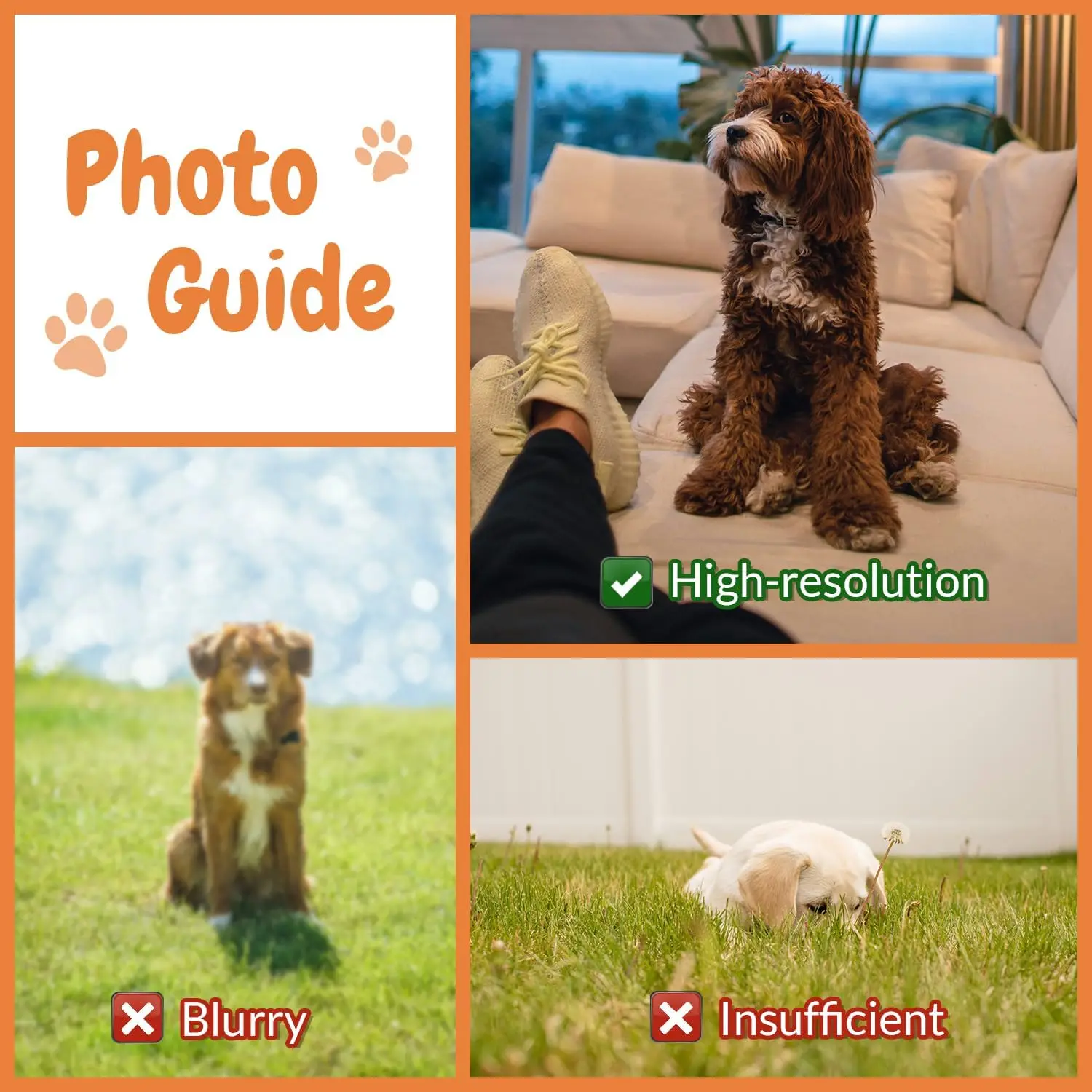 Cuscini per la casa con foto p - Home Textiles Images recensione e prezzo