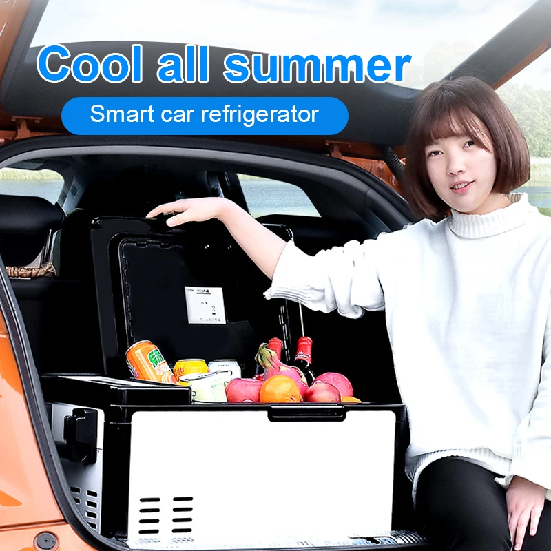 Hot-selling outdoor portable refrigeration compressor mini small refrigerator home car dual-use RV