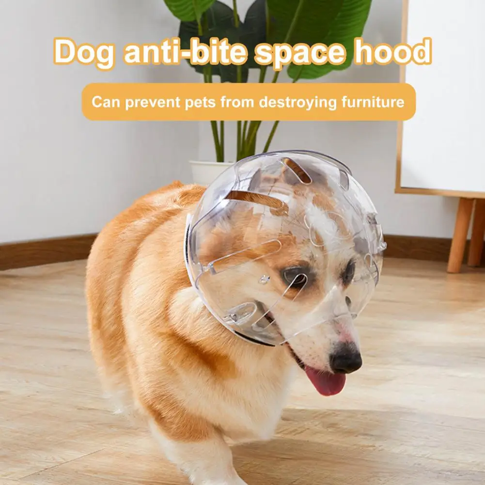 

Pet Hood Anti-bite Breathable Anti-bite Pet Helmet Adjustable Cat Muzzle Comfortable Transparent Cats Dogs Helmet Pet Supplies