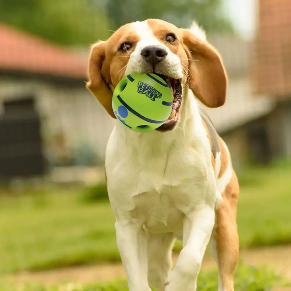 

Durable Dog Toy Ball Fun Sounds Bite-resistant Chew-Resistant Toy Interactive Wear-resistant Puppy Wrestling Toy Relieve Boredom