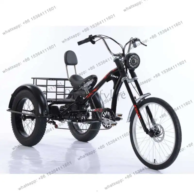 20 inch outlet 48v battery lithium battery vegetable basket tricycle light moped