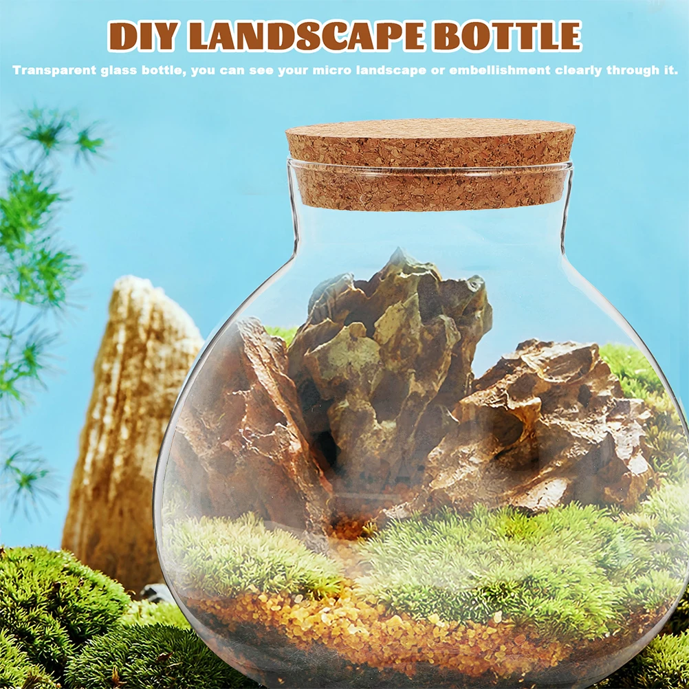 

2pcs Clear Sealed Terrarium Glass Bottle Microlandscape Jar Spherical Ecological Bottle For Diy Moss Micro Landscape Desktop