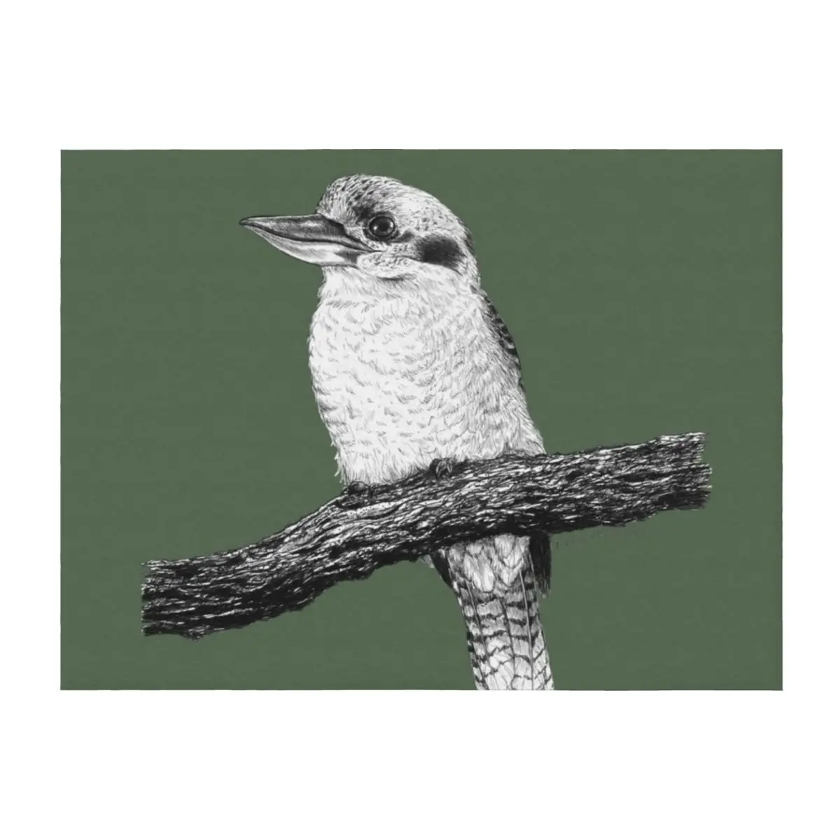 

Kookaburra drawing Throw Blanket warm for winter Furrys Giant Sofa Winter beds Blankets