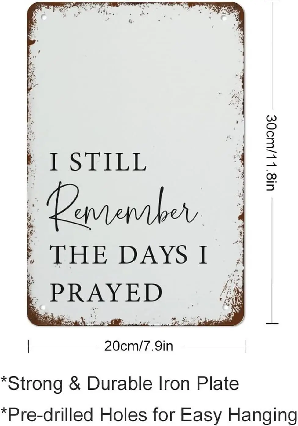 I Still Remember The Days I Prayed for The Things I Have Now Sign,Wall Art,Christian Scripture Wall Art,Inspired Quotes