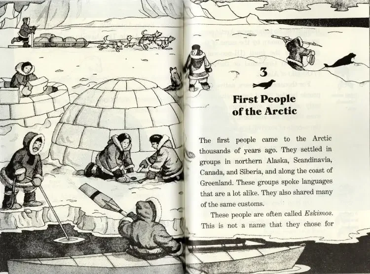 Original English Reading Children's Books 40 Books/Set Magic Tree House Fact Tracker Story Books for Kids English Books