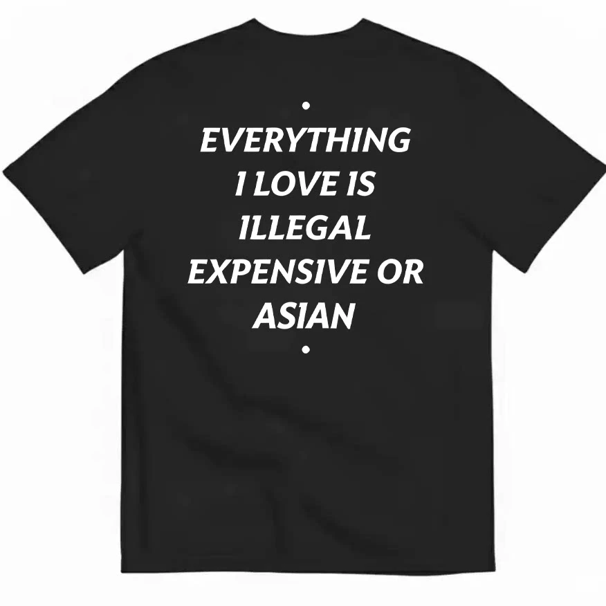 Everything I Love Is Illegal Expensive or Asian Graphic Tee Cotton Mens Womens T-Shirt Vintage Streetwear