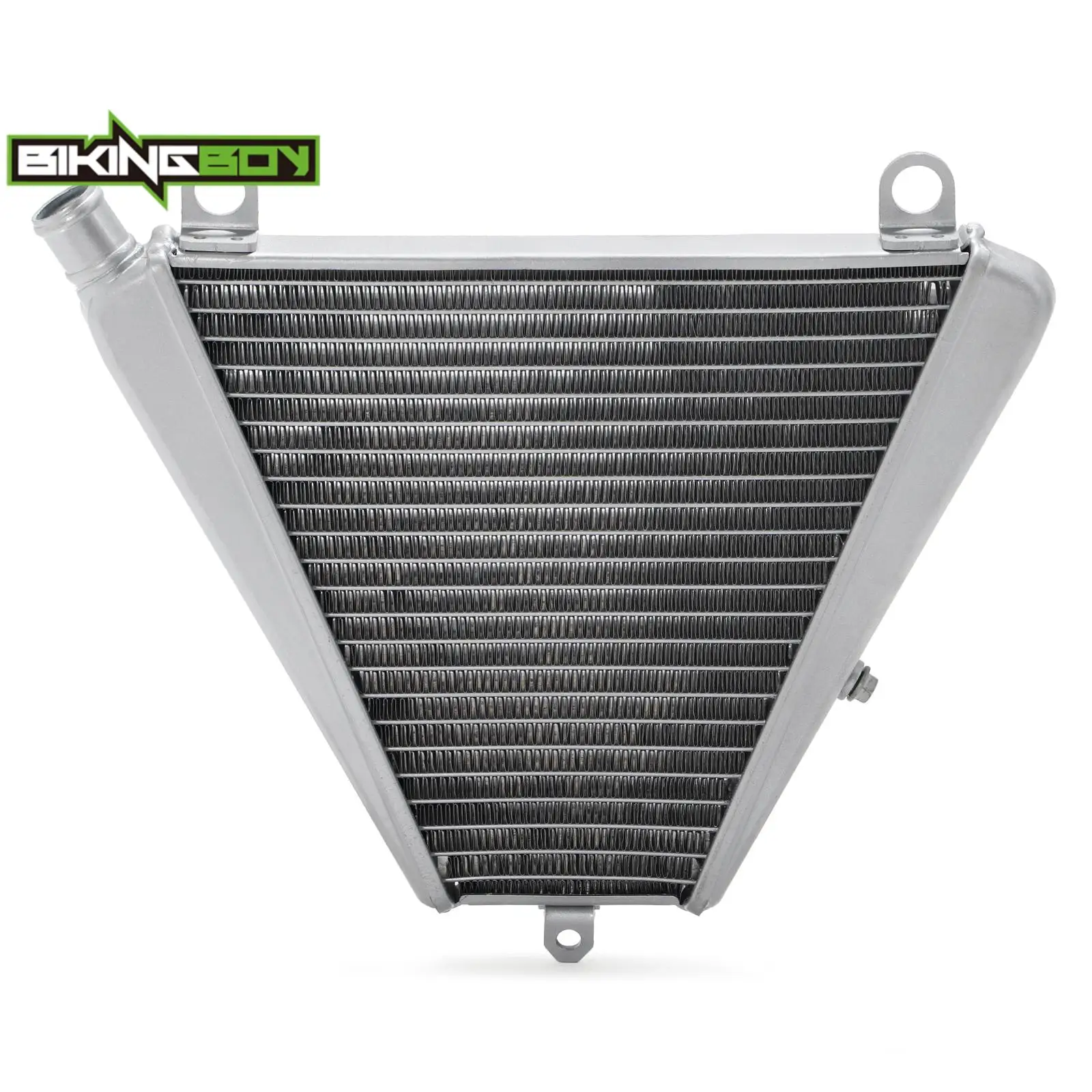 BIKINGBOY Radiator Cooling  Cooler For Ducati Panigale 899 959 1299 1199 1199S R 12-19 Panigale V2 20-23 Streetfighter V2 Engine