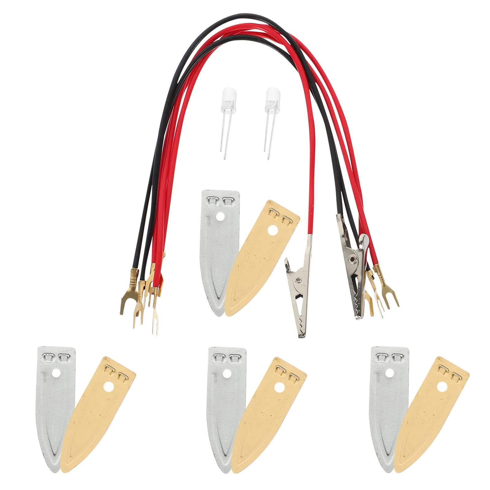 

1Set DIY Fruit Science Experiment Educational Kit for Kids Hands-on Learning Stem Activity Student Project Beginner