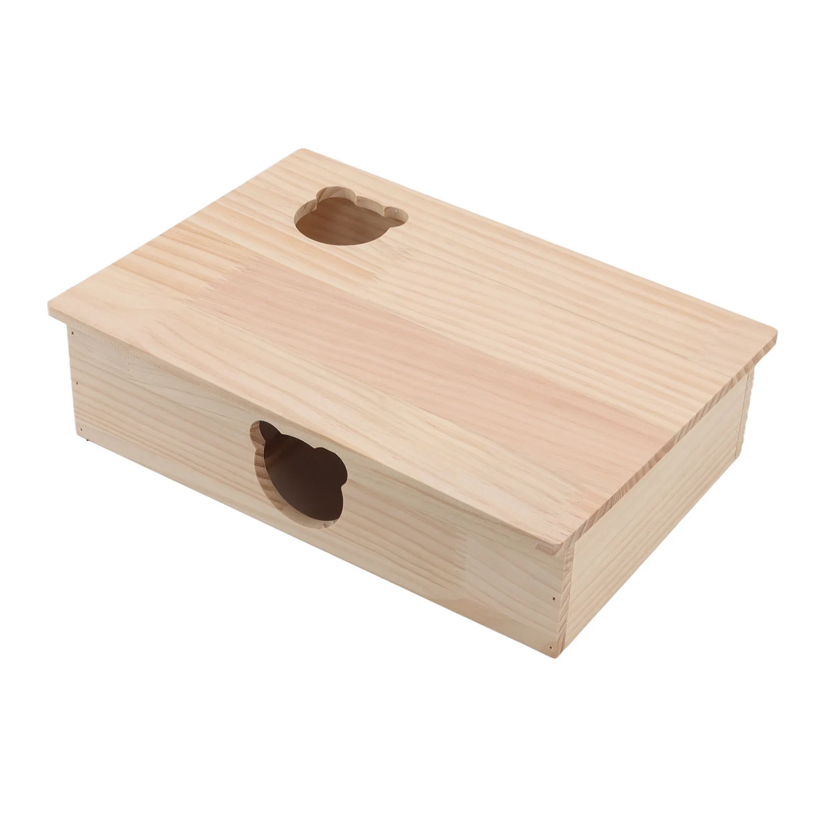 Thumbnail 3 - #29 Trending Hamster Houses Right Now