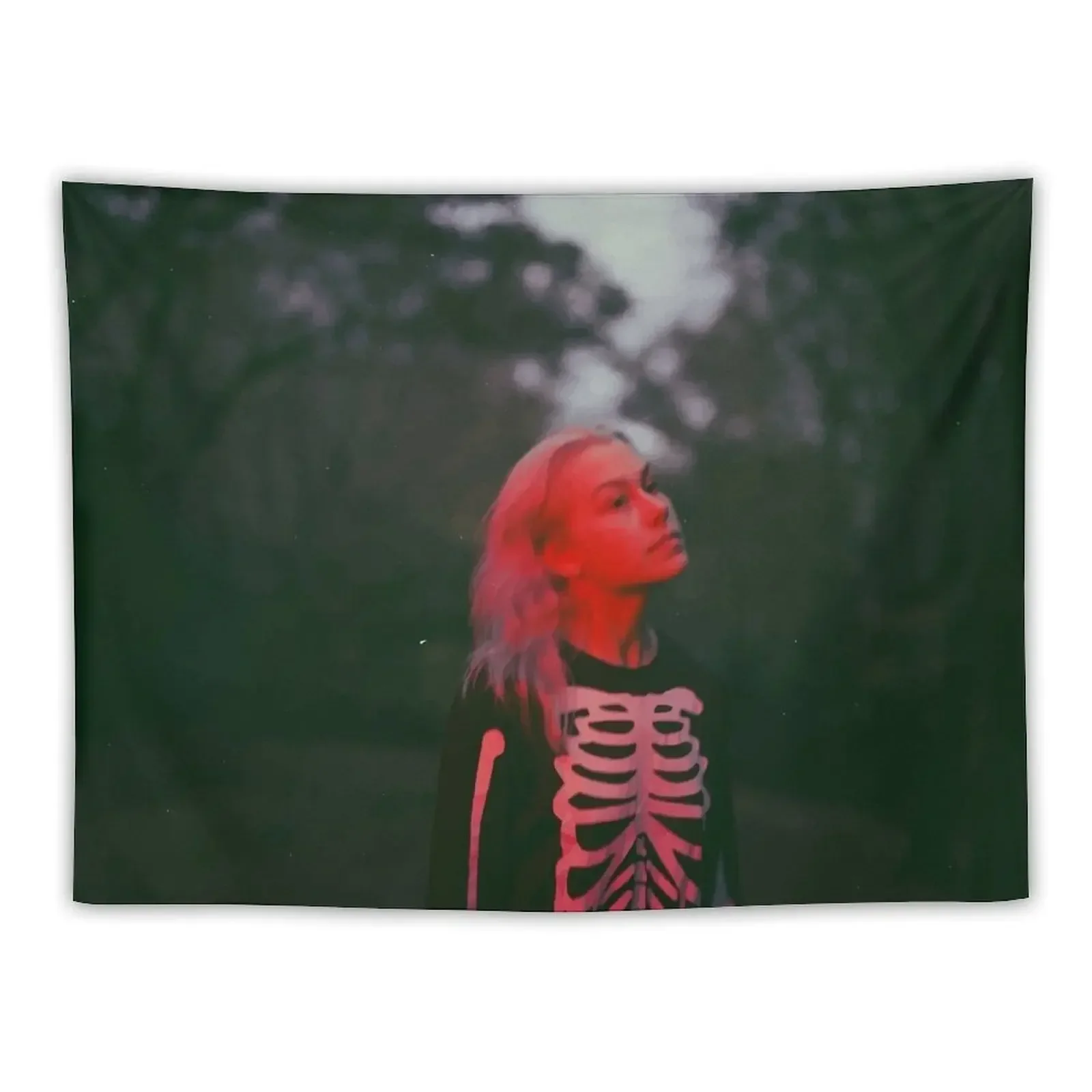 Phoebe Bridgers Tapestry Things To The Room Room Decor Cute Tapestry