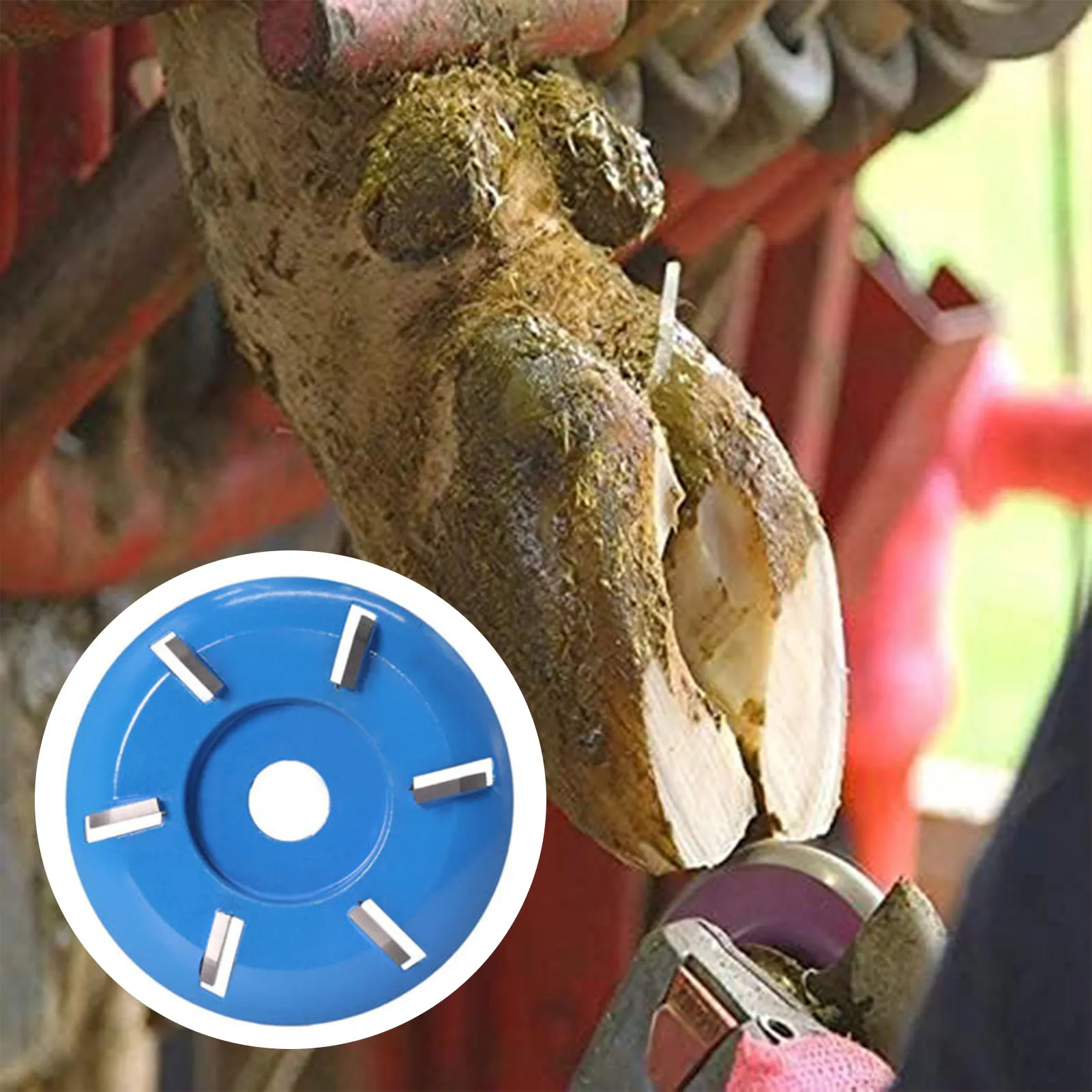 

Электрический диск для обрезки копыт лошади, 6-зубчатый дизайн, простой в эксплуатации диск для крупного рогатого скота, козла, лошади, аксессуары