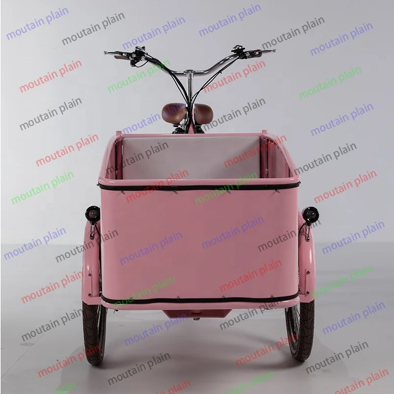 Electric Cargo Bike Short Trip Pink Color