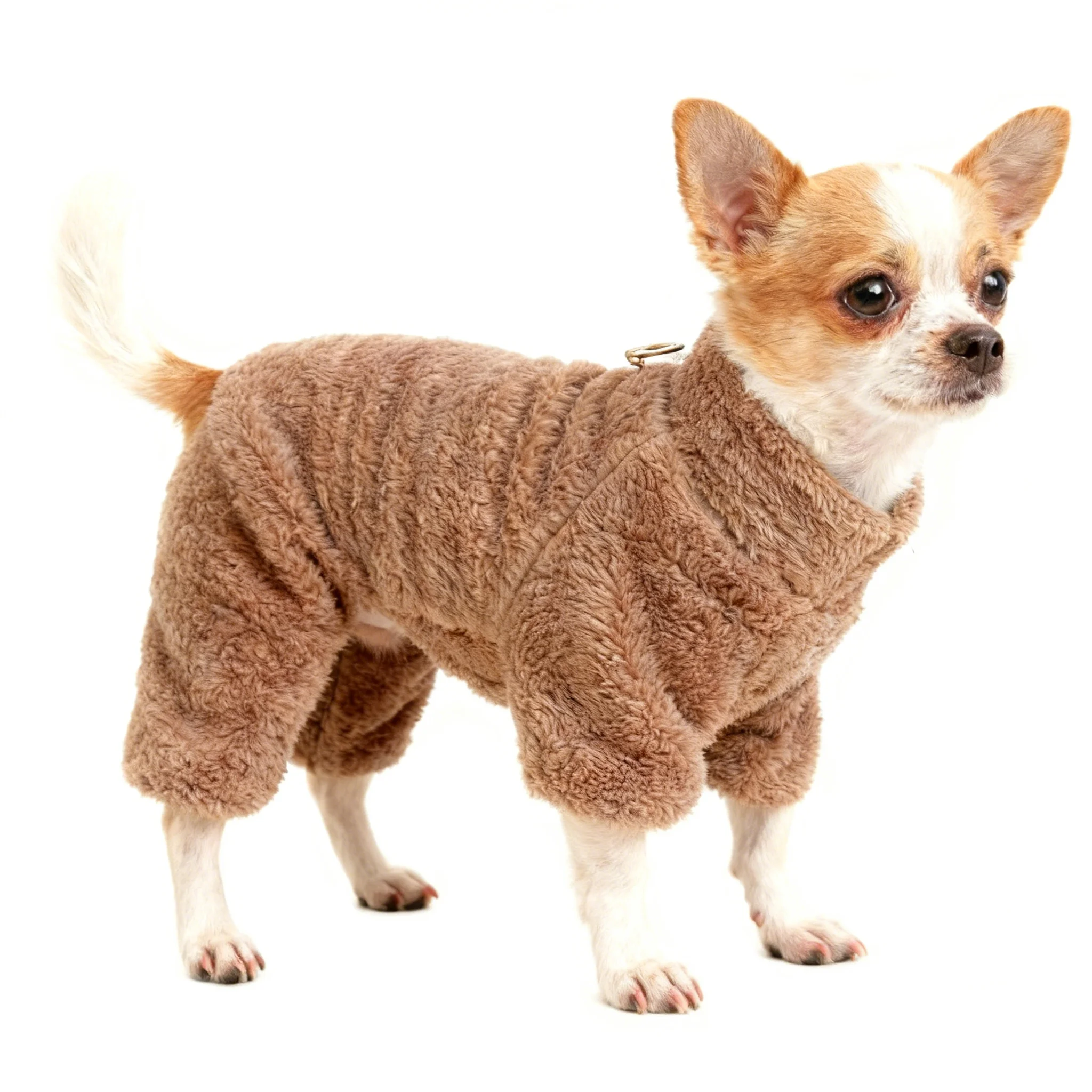 Thumbnail 2 - #66 Pet Apparels List of Top Picks