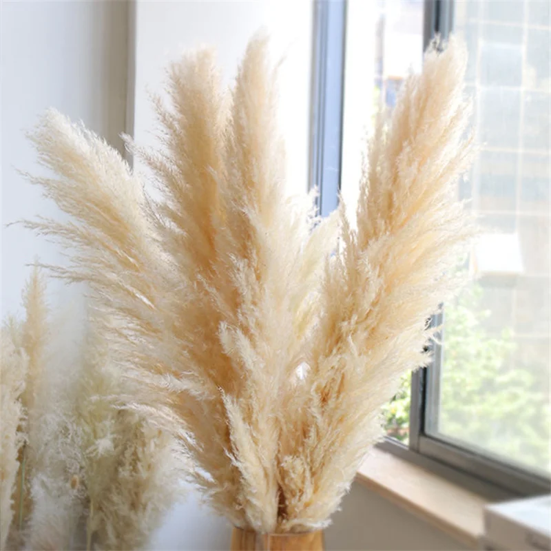 Wholesale 12Pcs Fluffy Large Pampas Grass Home Decor Natural Dried Flower Decorative Wedding Centerpiece Boho Pampas Grass Decor