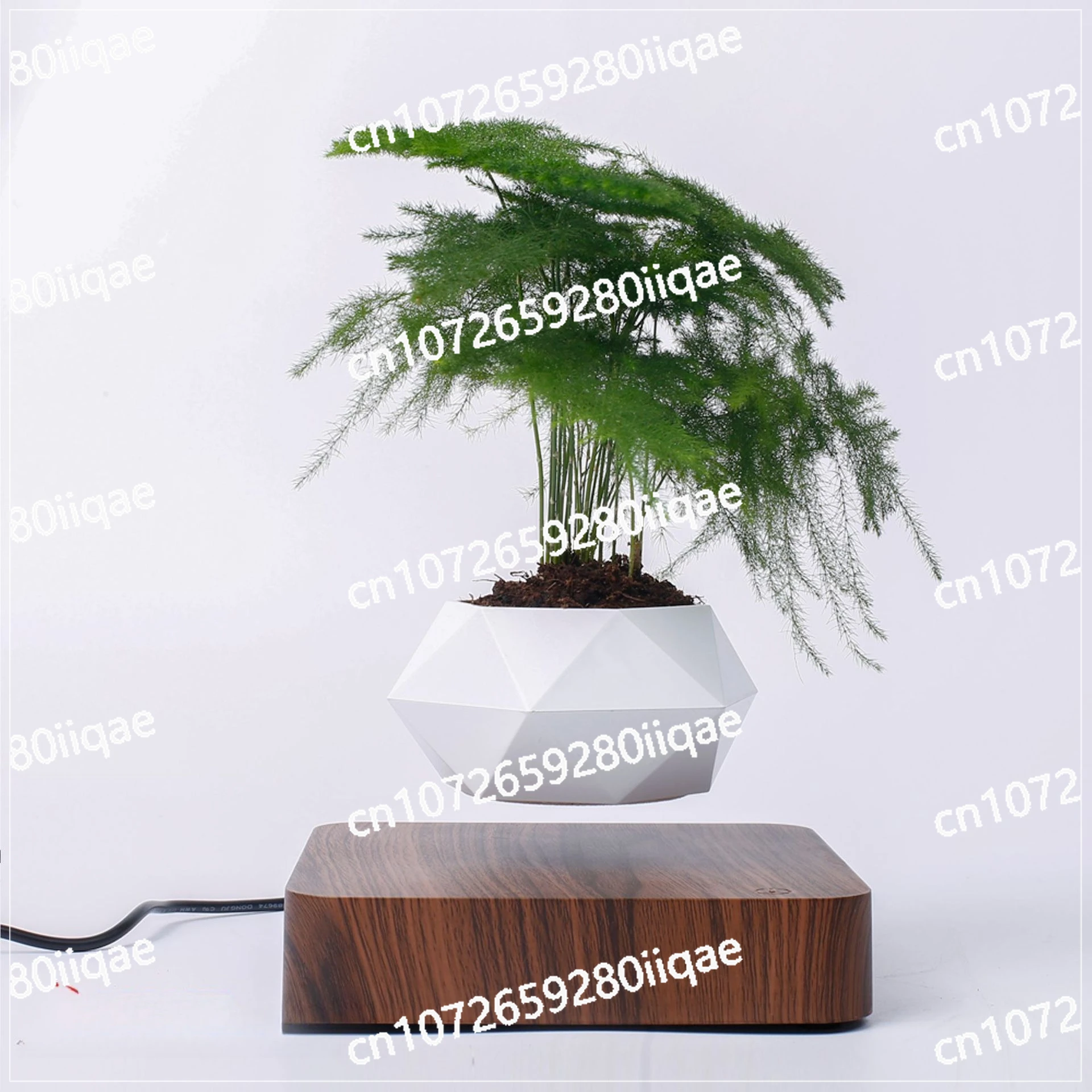 

Internet Celebrity Creative Crafts Plant Bonsai Living Room Home Ornament