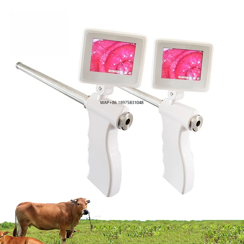 Farm Veterinary Breeding Kit Cattle/Horse/Pig/Sheep Visual Insemination Artificial Insemination Device