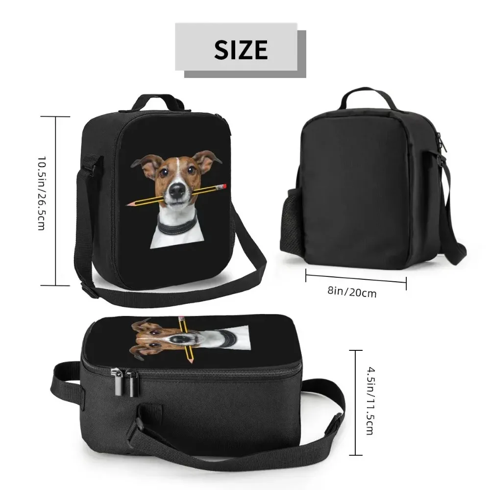 Jack Russell Terrier cane con matita scatola da pranzo portatile multifunzione dispositivo di raffreddamento termico per alimenti borsa da pranzo isolata scuola per bambini