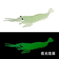 transgrn