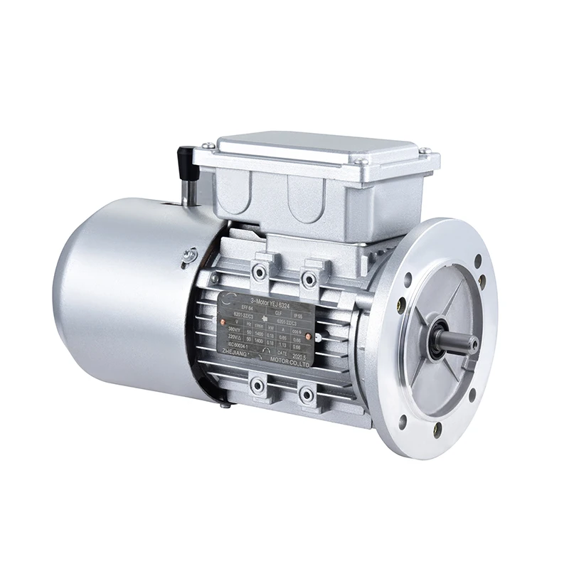 

YEJ6324 Single Phase Rotisserie Gear Electric Motor with CE Single-phase Asynchronous Motor with Aluminium Housing