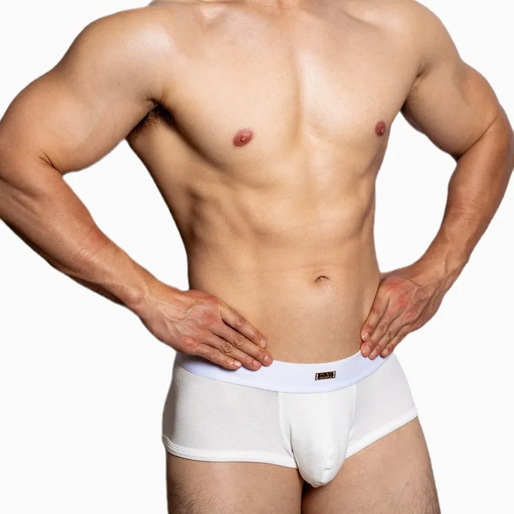 Herrenunterwäsche, schlichter Stil, Schwarz, Weiß, Basic-Bottom-Boxer, Metall, fortschrittliche Modal-Unterhose mit vier Ecken