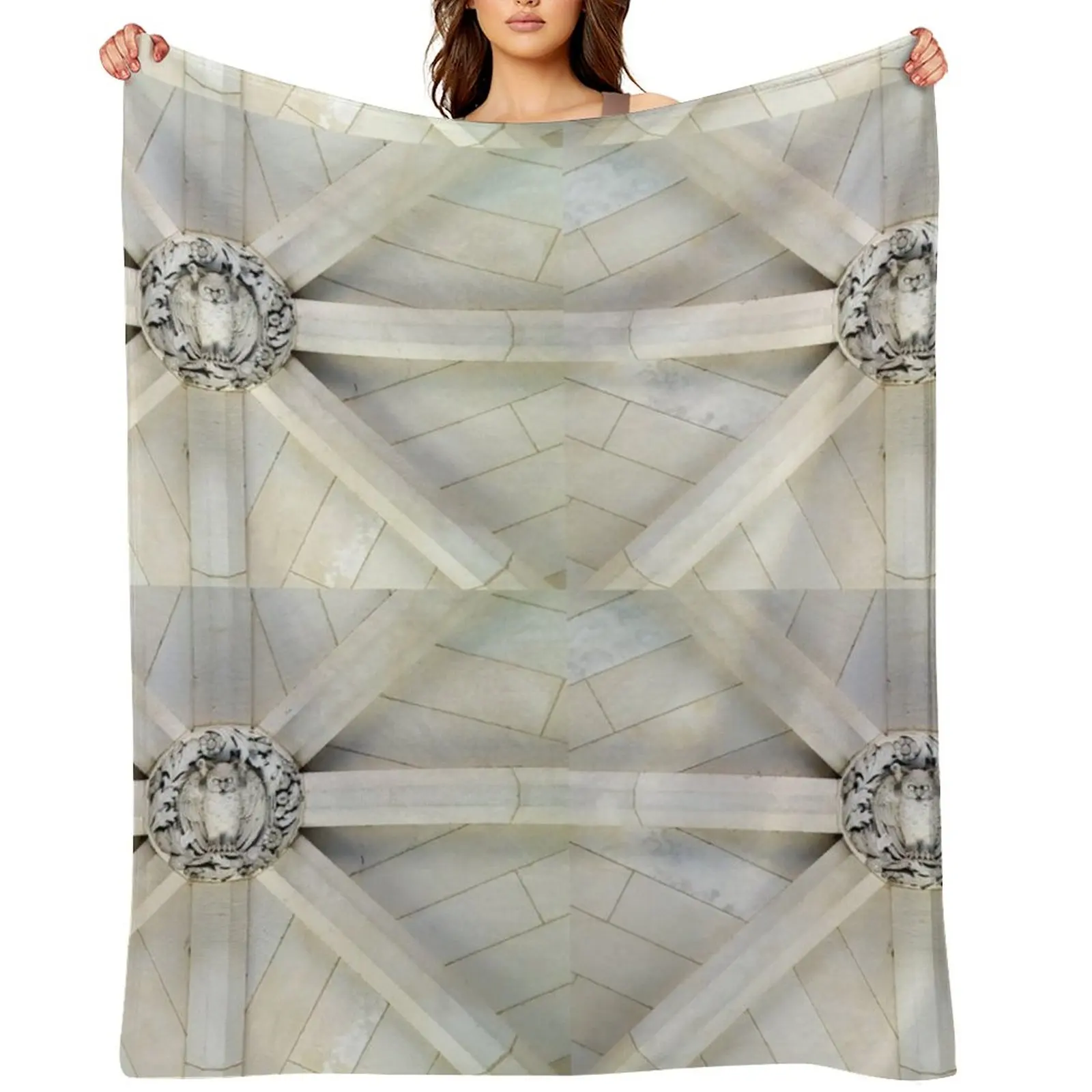 

Rock Arch Owl - Bryn Mawr College Throw Blanket Giant Sofa for babies For Sofa Thin Vintage Blankets