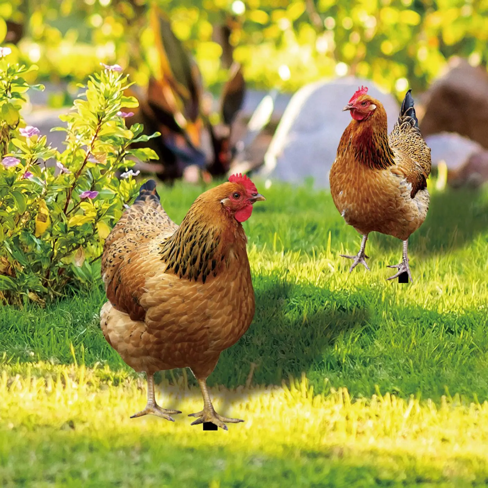 Hen Garden Stakes Animal Statues Metal Chicken Sculptures Garden Art for Outdoor Lawn Patio Backyard Farmhouse Gift