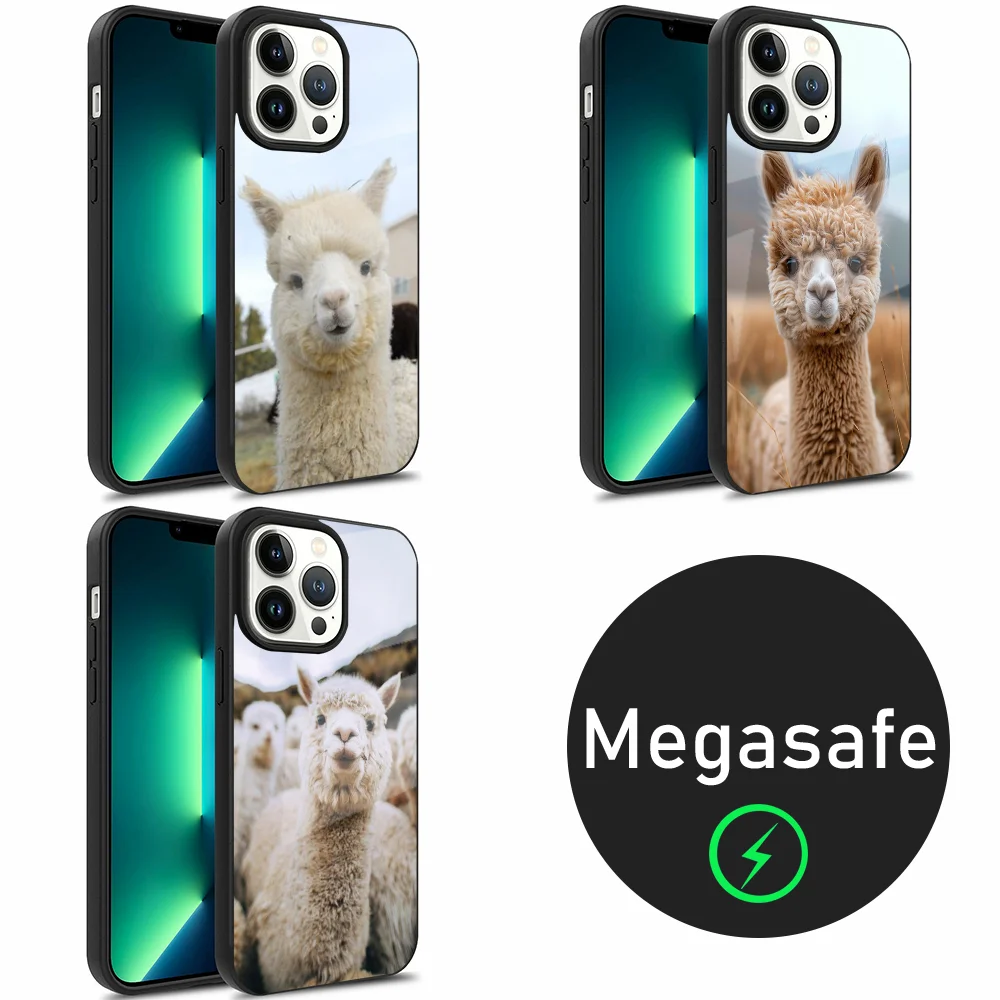 Lama Llama Alpaca Phone Case For iPhone 16,15,14,13,12,11,Plus,Pro,Max Mini Magsafe Magnetic Wireless Charging