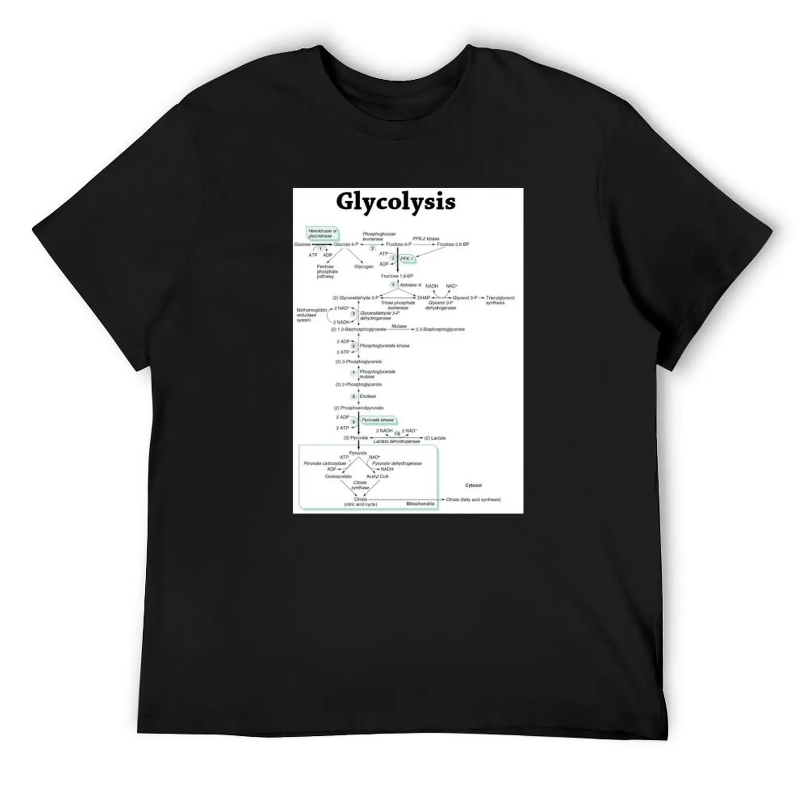 Glycolysis pathway biochemistry biochemical T-Shirt summer clothes new edition plain cute tops mens workout shirts