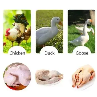 

Электрический депилятор для курицы, утки, гуся, машина для депиляции перьев птицы LIJAYO