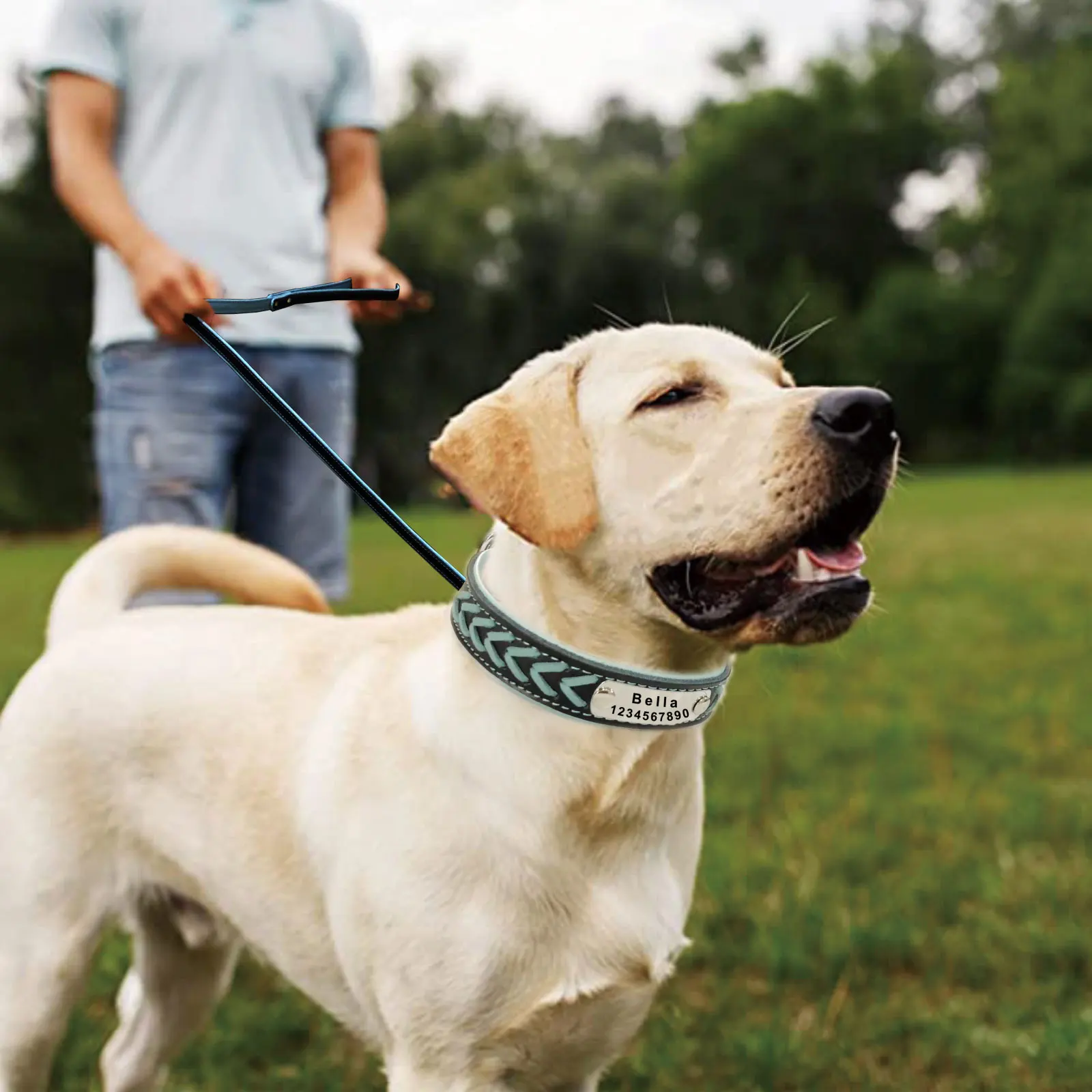 Halsband Gepersonaliseerde Aangepaste Dog Tag Halsband Gegraveerde Puppy Kat Naamplaat Halsband Verstelbaar Voor Kleine Middelgrote Honden Mopshond