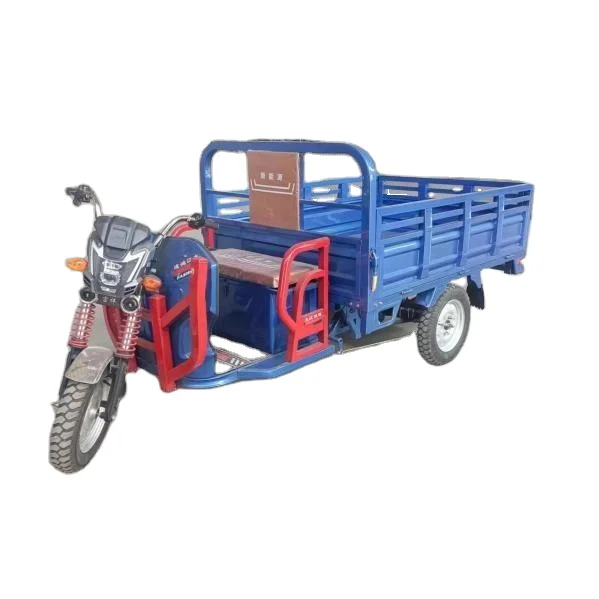 

New Design 60km Long Range 1000W Power 300kg Loading Capacity Basic Customization Electric Tricycle for Cargo