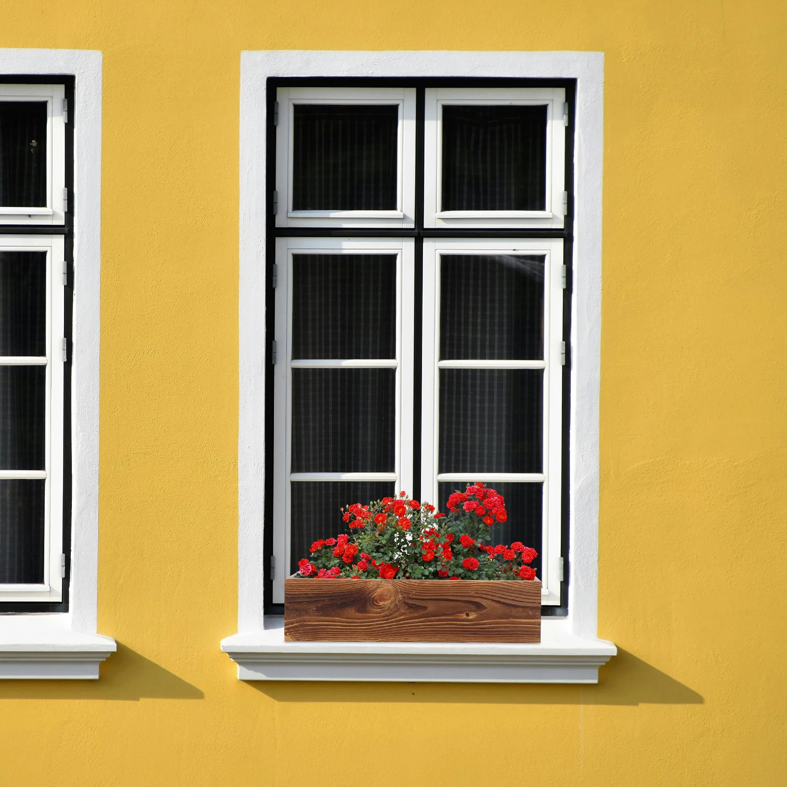 Category image: Window Boxes