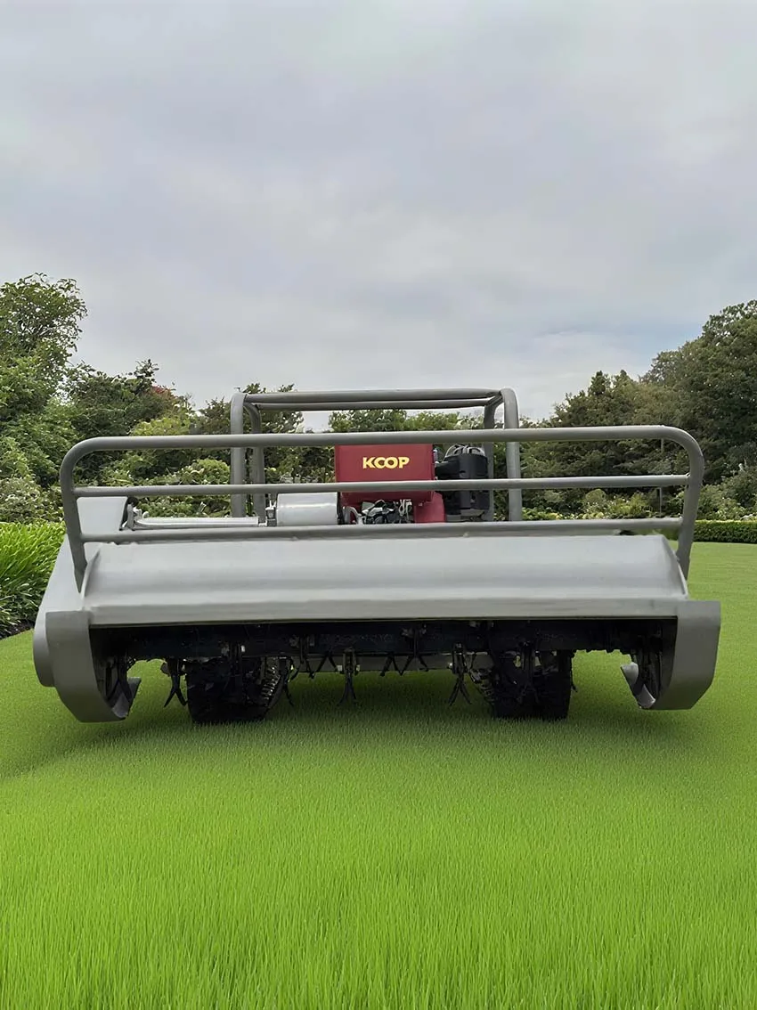 

High Power Multi-Function Crawler Mower Park and Forestry Greening Pruning Farm Weeding Remote Control Lawn Mower