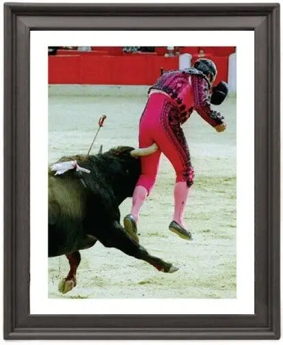 Framed Poster matador funny Picture Frame 16x12 inches Photo Paper Print