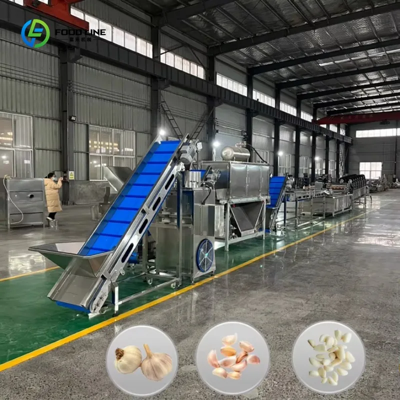 Garlic Peeling Packing Production Line Stainless with Motor Bearing for Plant Custom