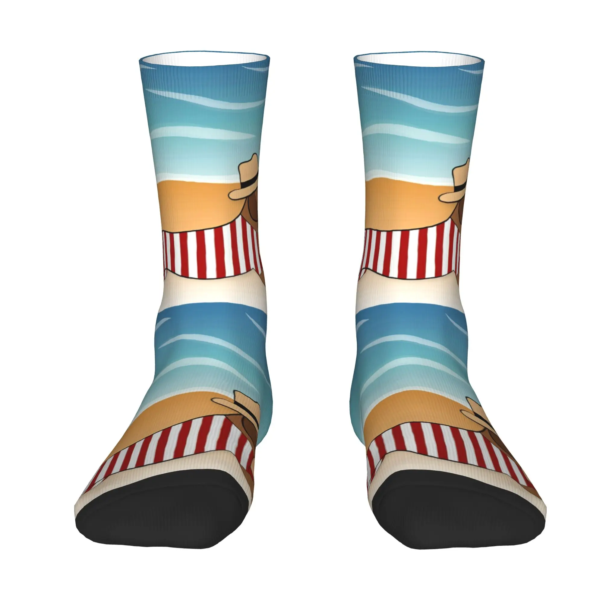 Custom Fun Printing Funny Dachshund Cartoon Socks for Men Women Stretchy Summer Autumn Winter  Crew Socks