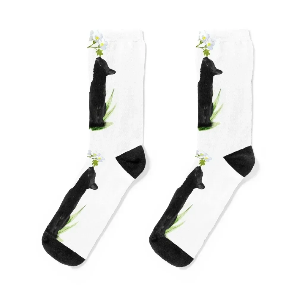 

The sniffing cat Socks essential FASHION Children's designer brand Socks Men Women's