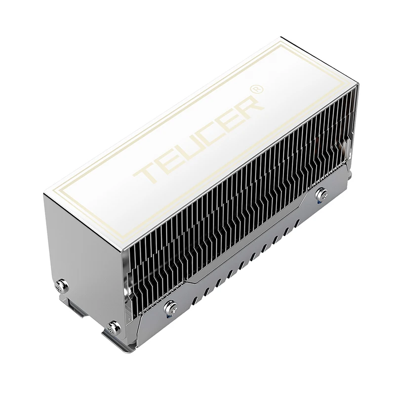 TEUCER M2 HDD Cooler dissipatore di calore alluminio M.2-10 doppio tubo di rame radiatore M.2 2280 SSD radiatore di raffreddamento con Pad termico