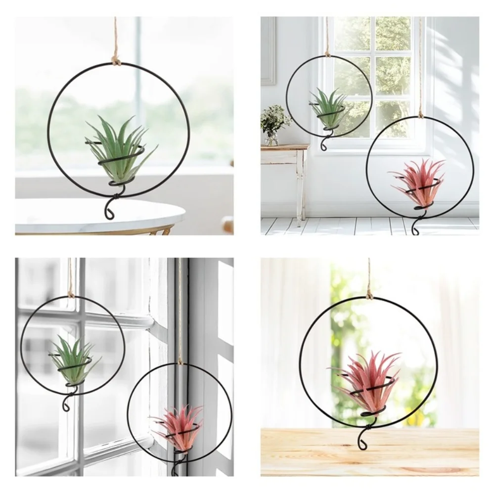 Vertical Garden Mounts As Shown Air Plant Hangers Vibrant Display Design Robust Metal Construction Modern Elegant Aesthetic