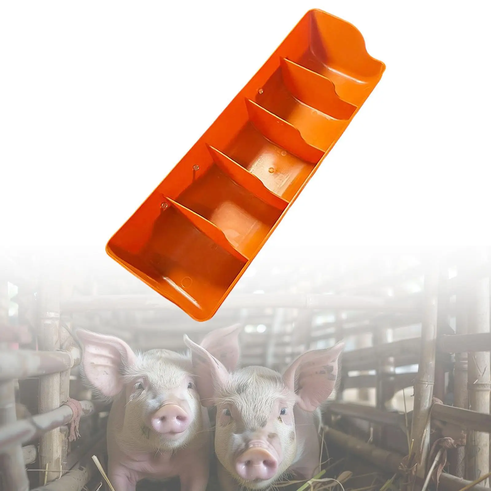 Bol d'alimentation pour porcs, Portable, facile à nettoyer, réutilisable, mangeoire pour porcs de bébé, bac à nourriture pour porcelets, plateau de nourriture pour chiots, volaille, bétail