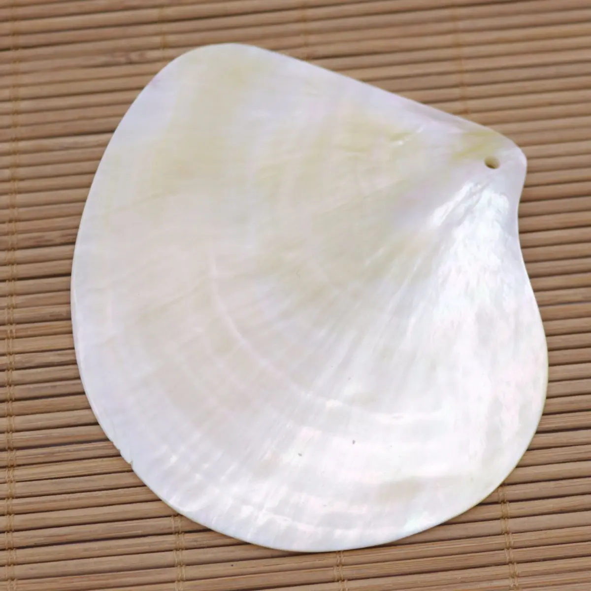 Natural Golden Lip Shell Mother of Pearl Pendants 80mm-90mm Top Hole Charms for Jewelry Making