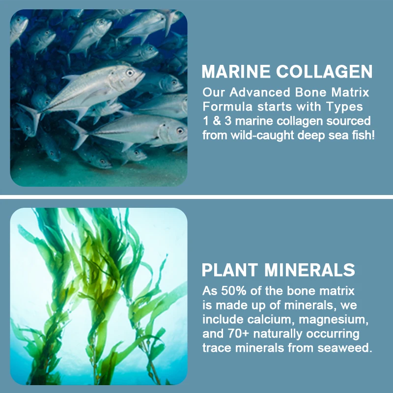 Kolagenowa kompletna kapsułka kostna z roślinnym wapniem i magnezem wspomagająca wzrost kości produkcja kolagenu i wchłanianie wapnia